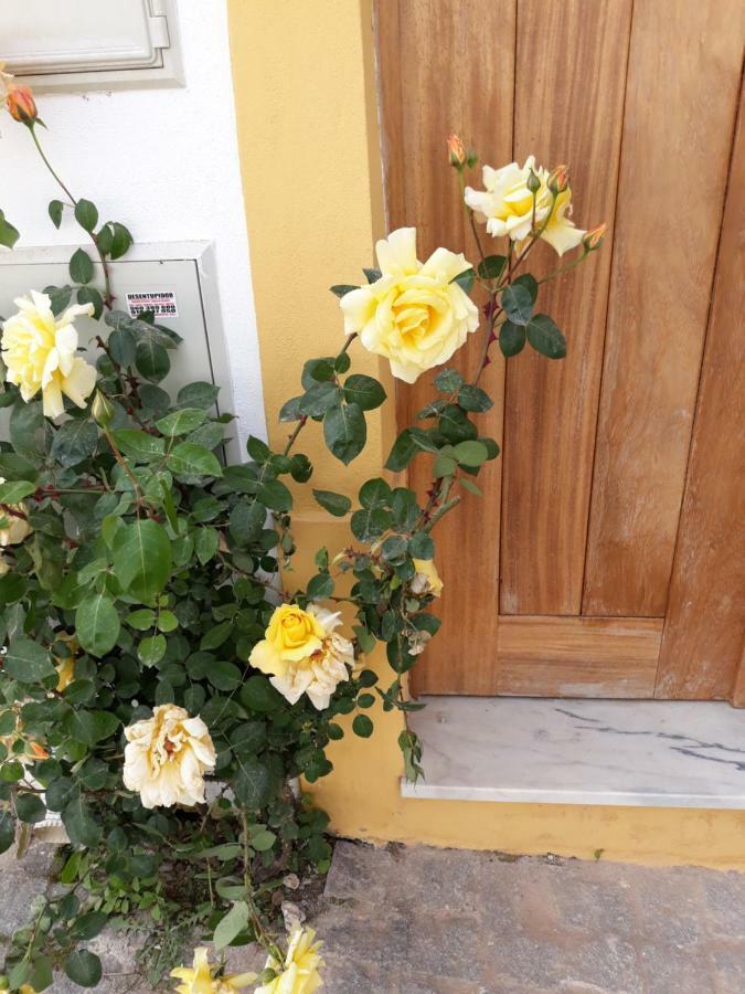 Apartamento Casa d'Avó Miranda do Corvo Exterior foto